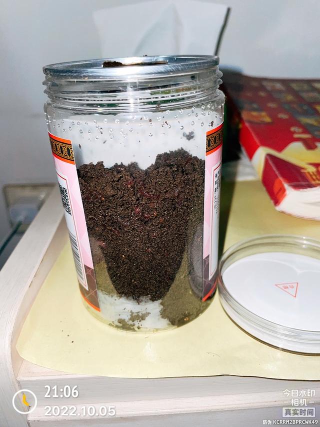 蚯蚓家庭养殖注意事项，家养蚯蚓最简单办法