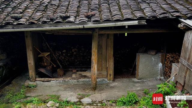感受祁门红茶，祁门红茶真有那么出名