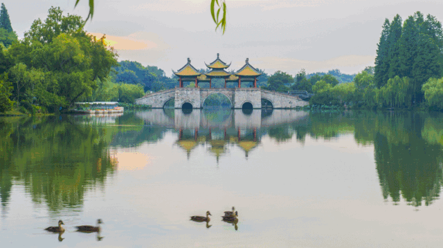 扬州马拉松在几月，<体育>马拉松——2023扬州鉴真半程马拉松开跑