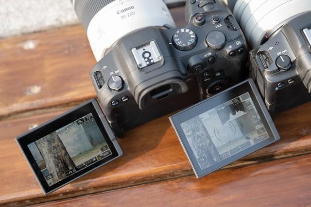 佳能eosr7和r6哪个好，编译：佳能