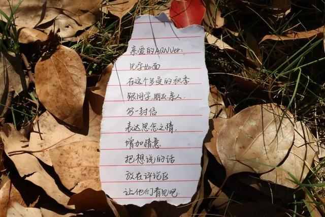 手写信浪漫范文，手写信，是这个时代的极致浪漫