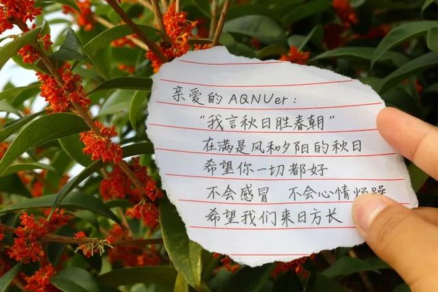手写信浪漫范文，手写信，是这个时代的极致浪漫
