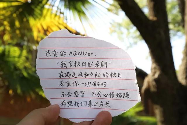 手写信浪漫范文，手写信，是这个时代的极致浪漫