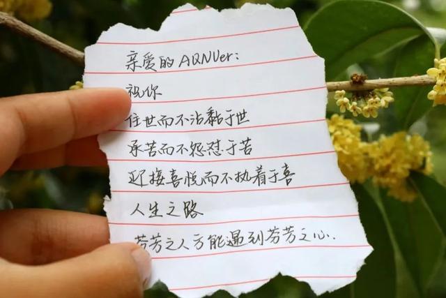 手写信浪漫范文，手写信，是这个时代的极致浪漫