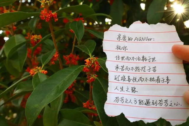手写信浪漫范文，手写信，是这个时代的极致浪漫