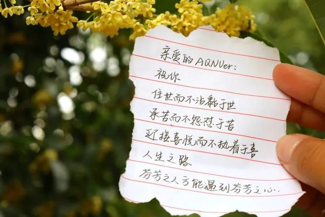 手写信浪漫范文，手写信，是这个时代的极致浪漫