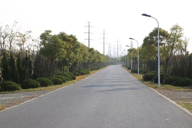 自由行内蒙白桦林景区景点推荐，枫叶林娜塔栎林