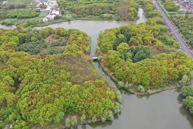 自由行内蒙白桦林景区景点推荐，枫叶林娜塔栎林