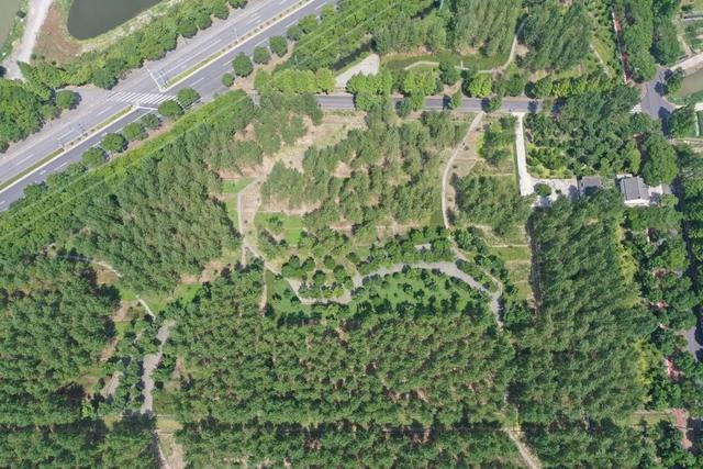 自由行内蒙白桦林景区景点推荐，枫叶林娜塔栎林