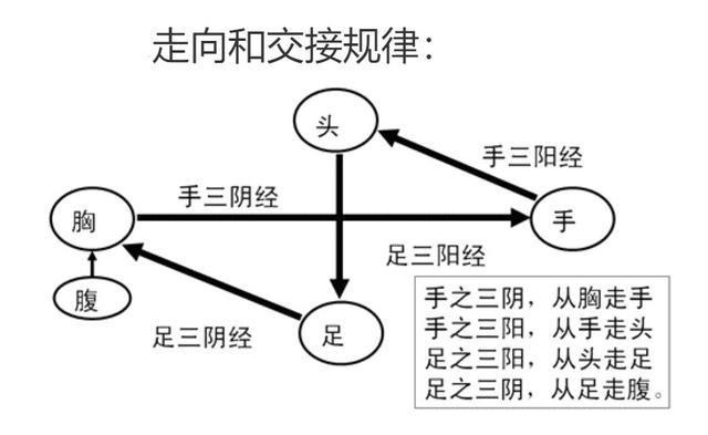 熬夜为什么这么伤身体，医生提醒：经常熬夜的人