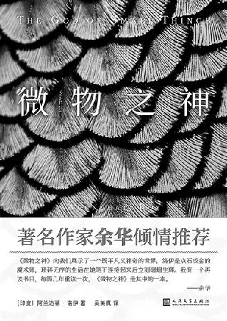虱子怎么去除肥胖(虱子怎么消灭掉)