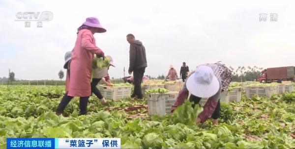 蔬菜价格表今日价格，近期蔬菜价格表（2023年5月3日寿光蔬菜价格）