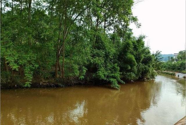 我爱家乡的小河，家乡的小河我心中的河