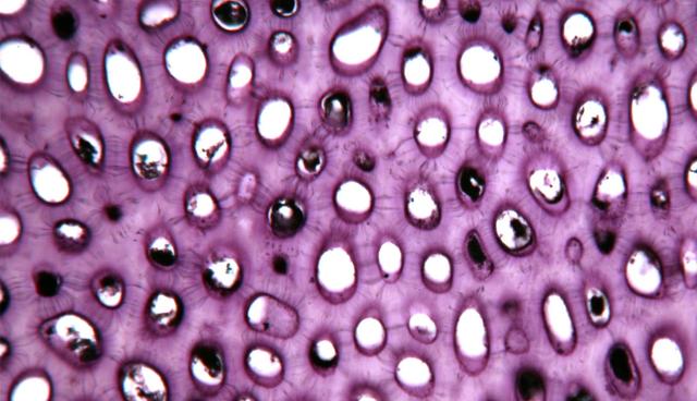 盘点那些好吃到爆的水果，香蕉第1,桃子橙子祖先都是咱中国