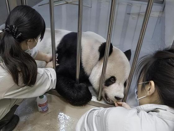 肥胖型星形细胞瘤(肥胖型星形细胞瘤二级严重吗)