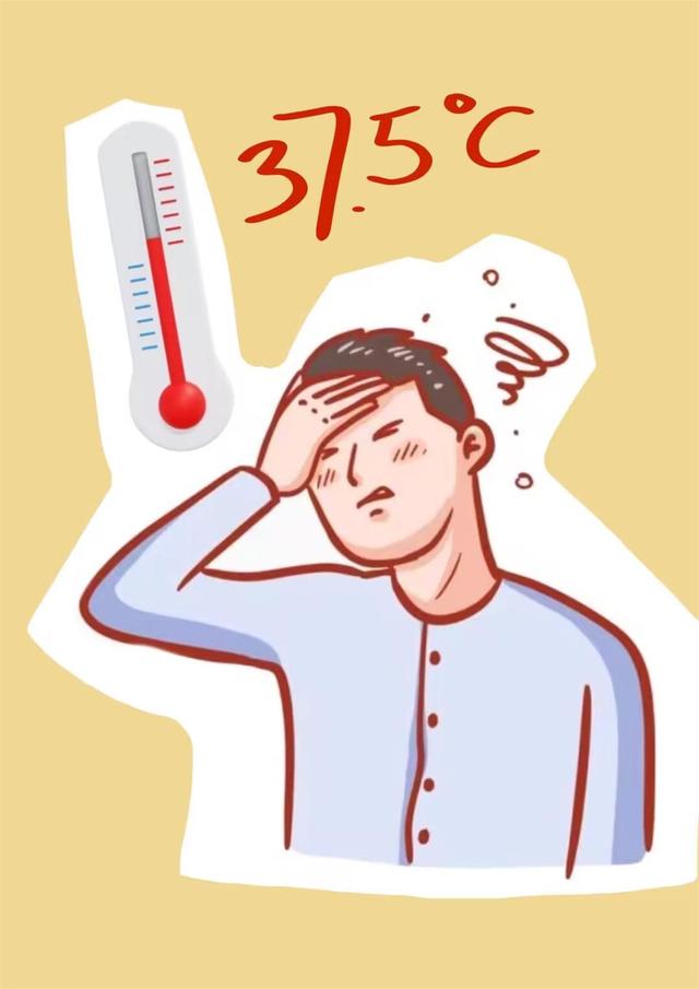 肥胖低热(胖人身体发热)