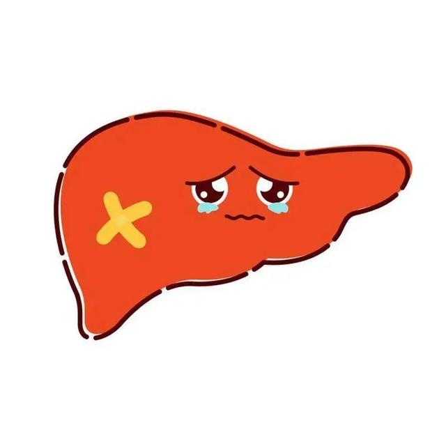 体检肝肥胖(肝肥胖是什么意思)