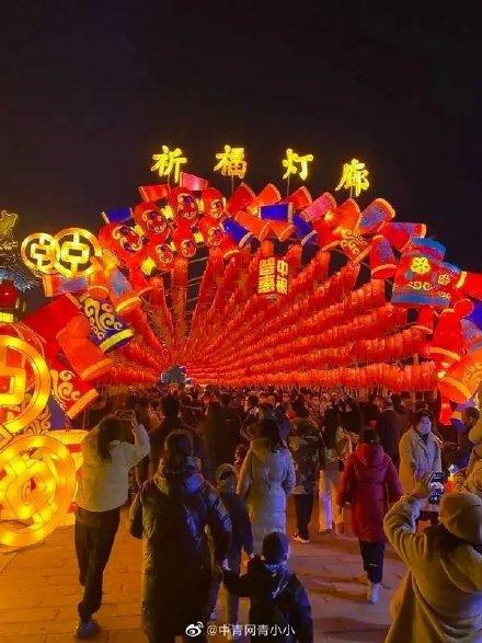 春节假期的旅游数据出来了，2023年春节假期国内旅游出游3.08亿人次