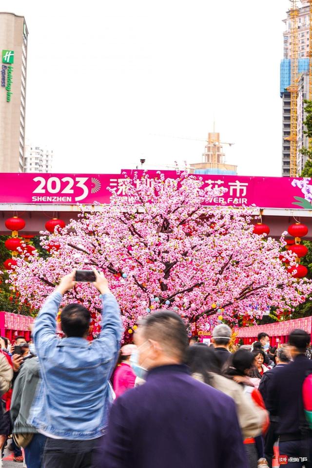 高质量发展深圳率先这样干，深圳奋力探索法治先行示范路径