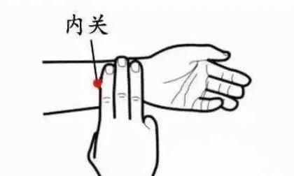 肥胖怎么找血管(肥胖的血管内部图片)