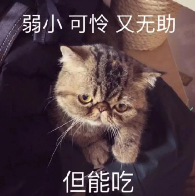 bcc肥胖症(肥胖病的主要筛检方法是bml和wc,wc是什么)