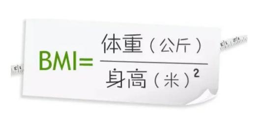 肥胖评价4%(肥胖评价标准)