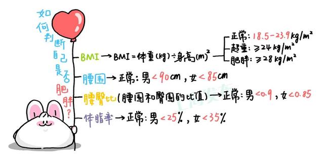肥胖坑(肥胖坑坑洼洼的图片)