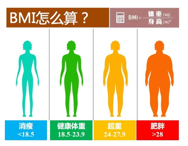 肥胖知多少(肥胖的标准是什么?)