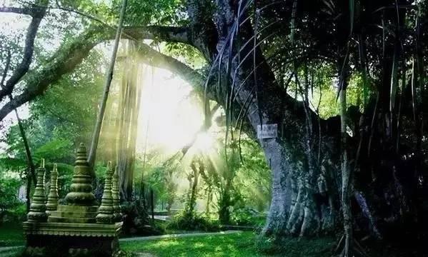 说走就走的旅行 说走就走的旅行的唯美句子