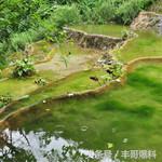 洛阳——四大圣城之一，旅游攻略大全~