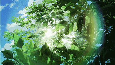 长沙师范学院 长沙师范学院分数线