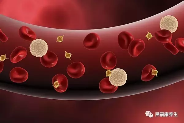 血红蛋白浓度偏低(血红蛋白浓度299很低吗)