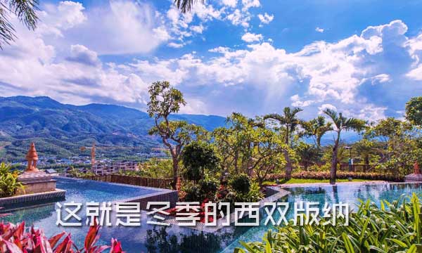 冬天的旅游胜地有哪些?_冬天好玩的旅游景点