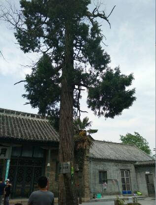 臺兒莊古城一游