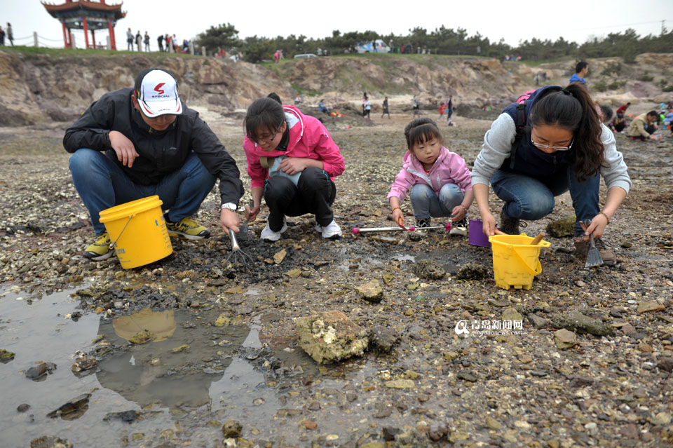 红岛蛤蜊节青岛红岛蛤蜊节开幕