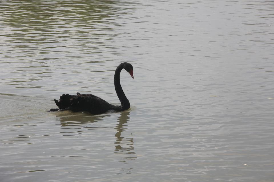 上海野生動物園之旅