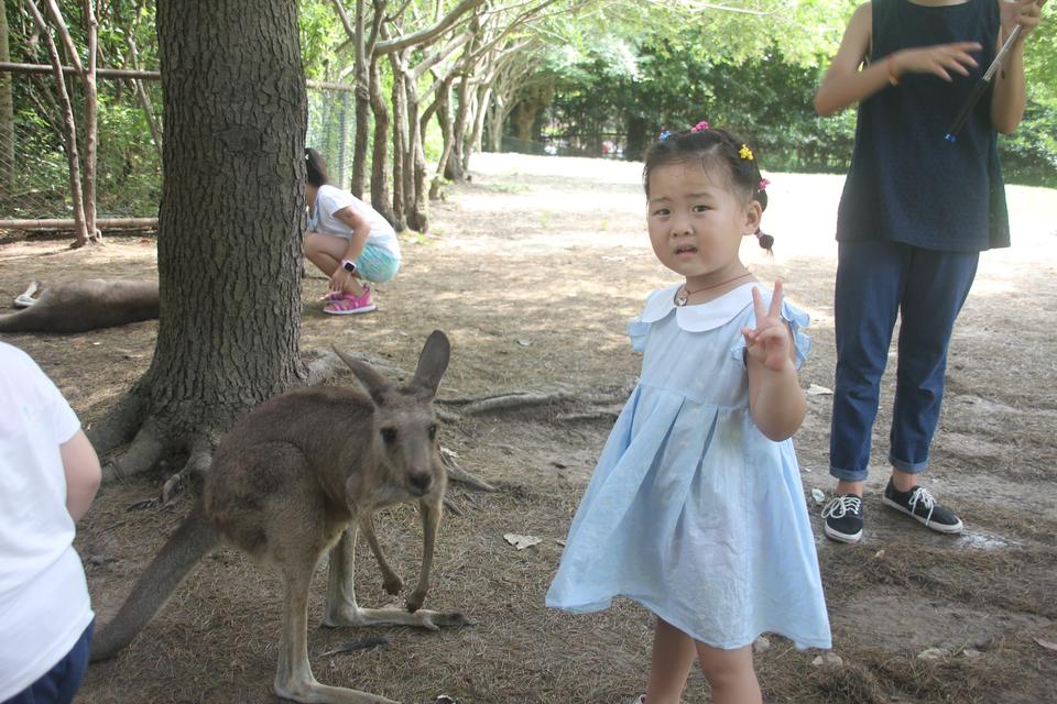 上海野生動物園之旅