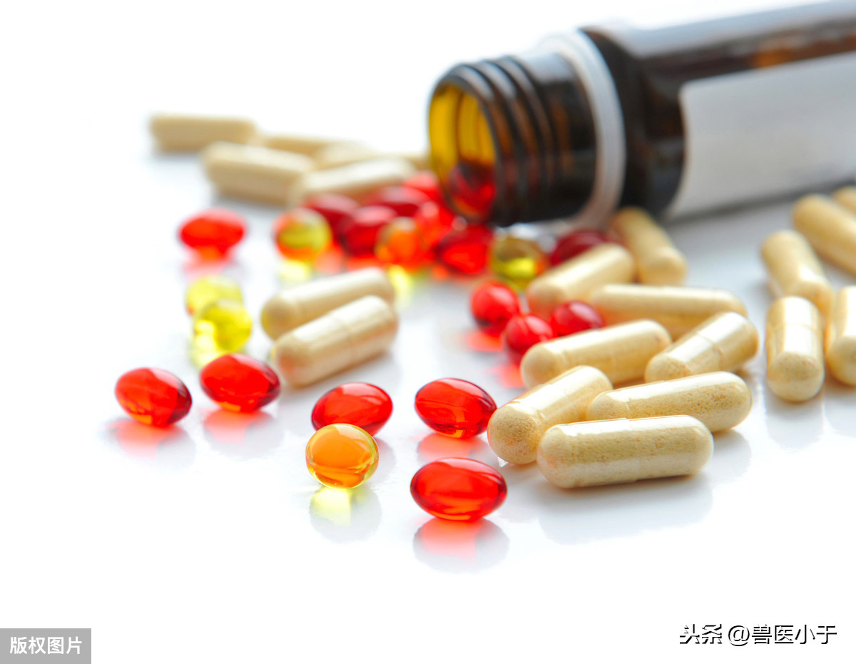乙酰螺旋霉素片 别乱吃人工牛黄甲硝唑