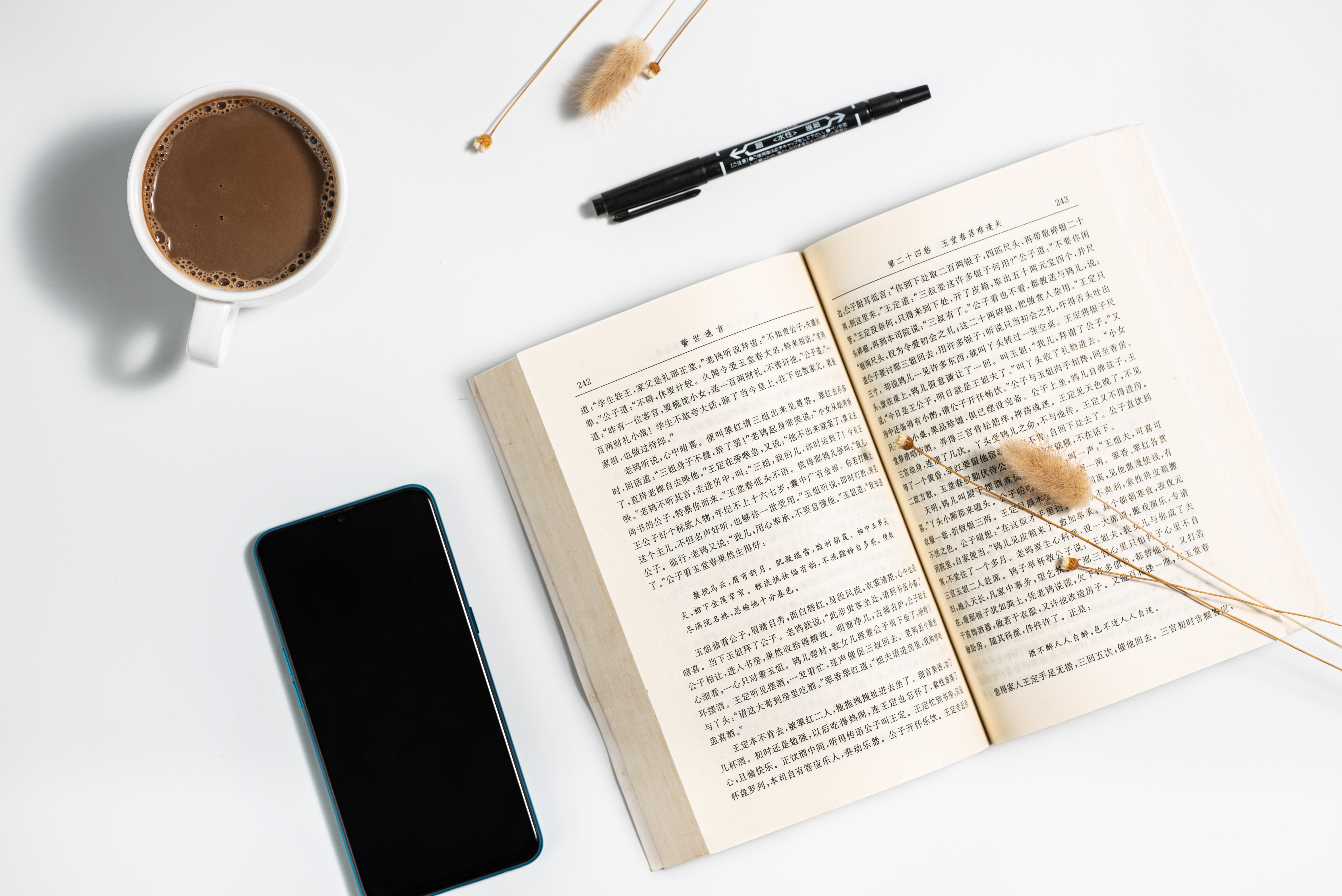 两只黄鹂鸣翠柳 《《早发白帝城》