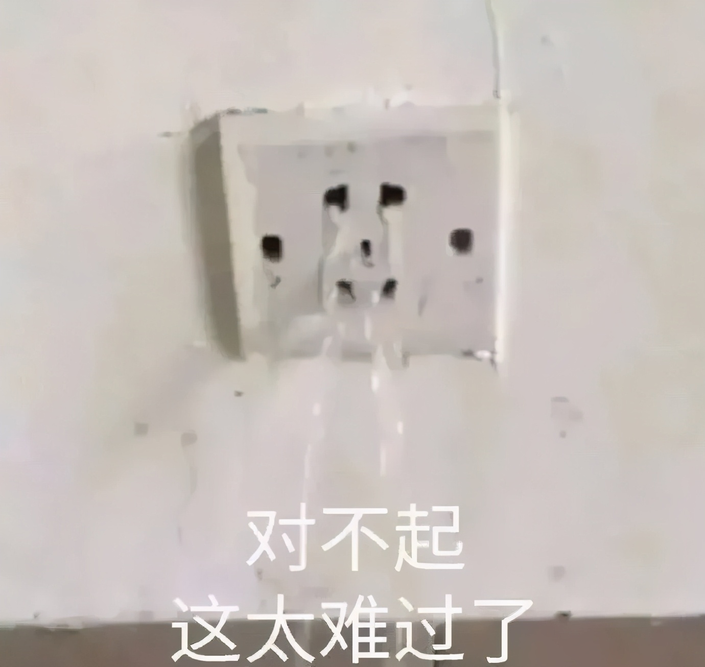 vidivici vidivici官网