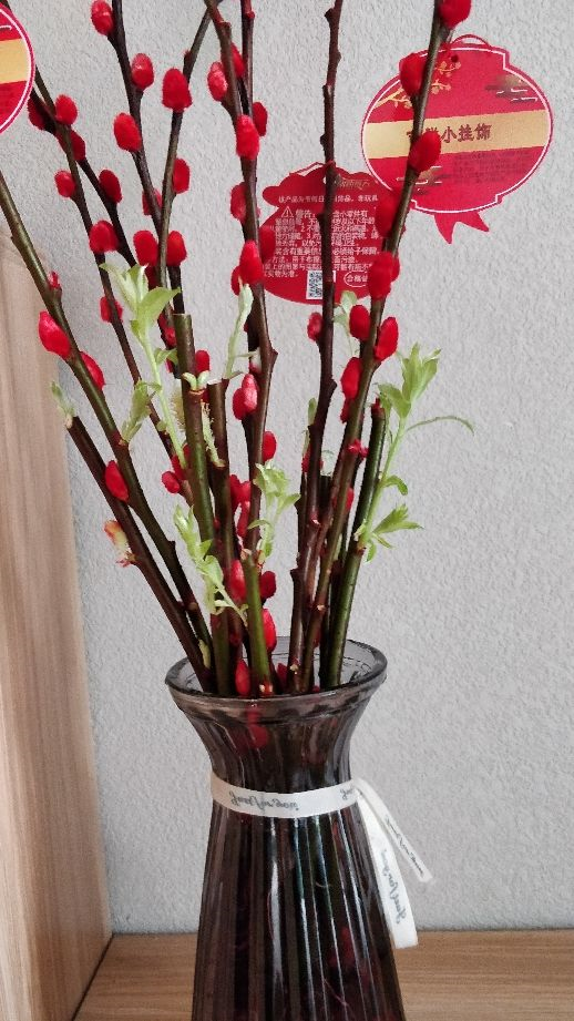 银柳是真花还是假花（银柳的基本养护要点）