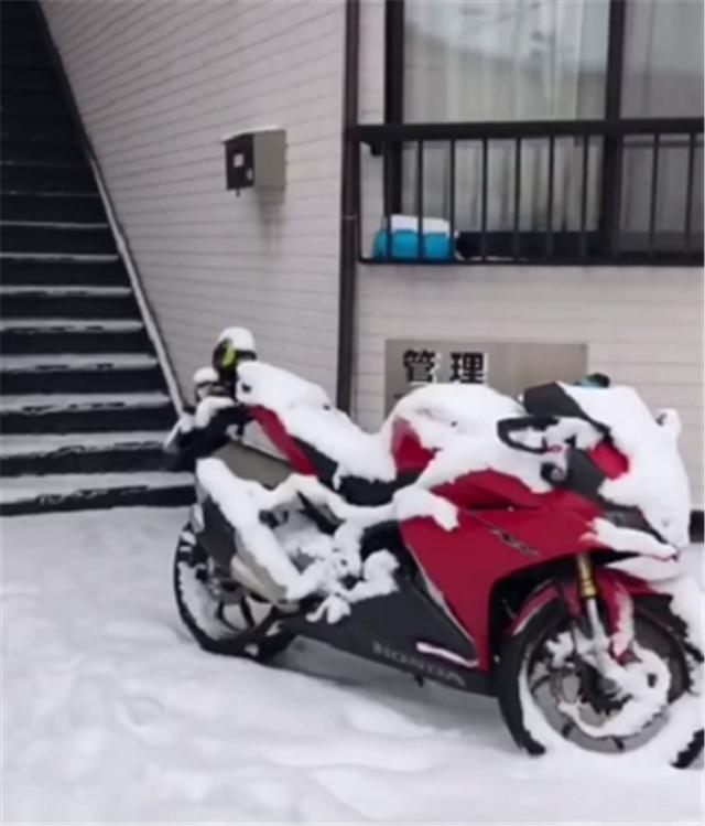 本田cbr250rr gsx250