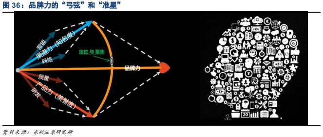家电行业专题报告：品牌策略从单一到多元的必经之路