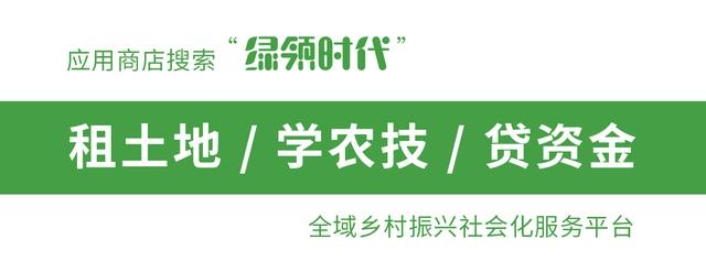 失地农民养老保险 2022城乡居民养老保险
