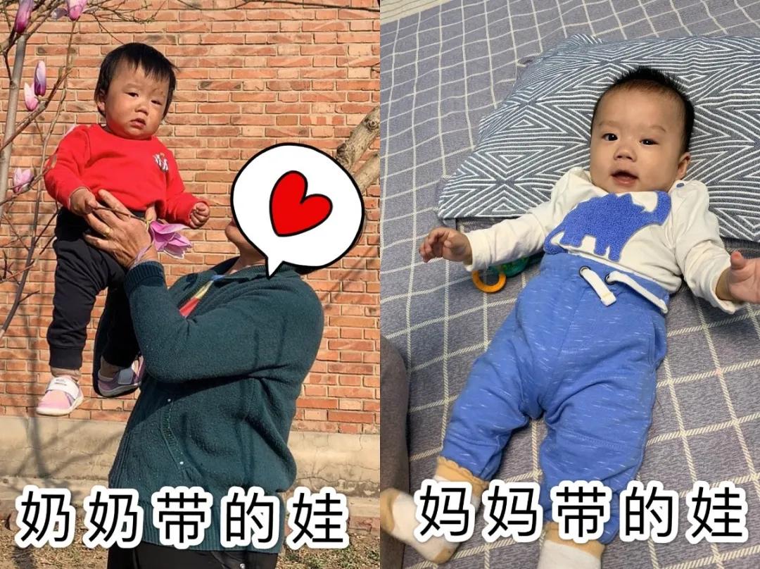那画面太美我不敢看 画面太美我不敢看娱乐圈24