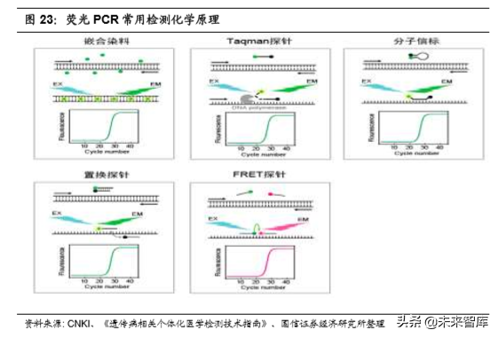 医疗行业专题：核酸分子诊断龙头凯普生物深度解析