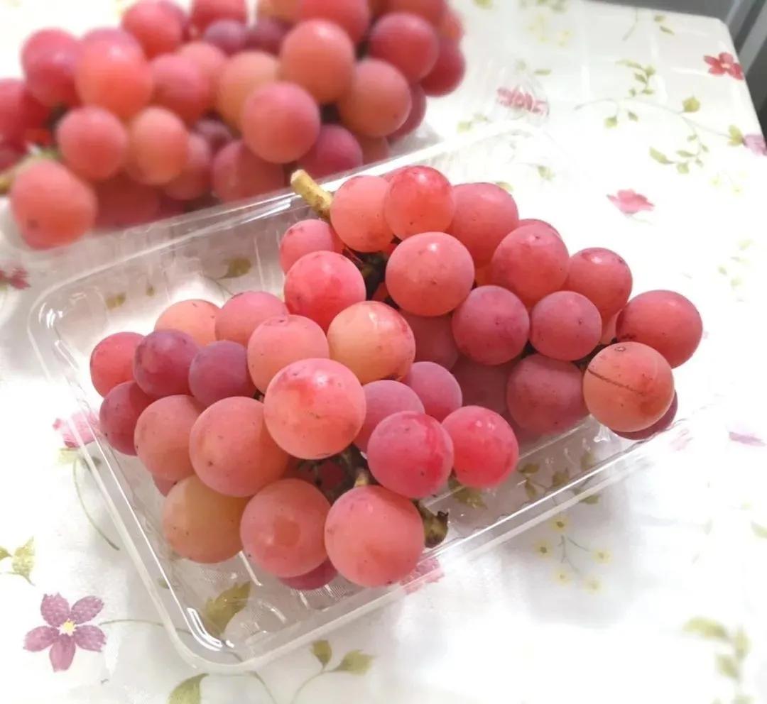 葡萄和提子的区别 提子对男性的好处