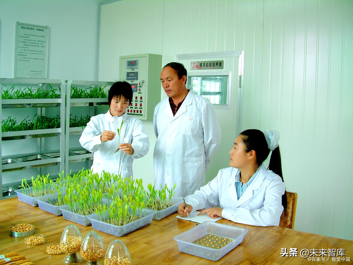 种子行业专题报告：市场空间、发展趋势、供需结构