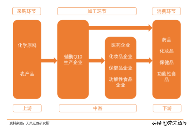 一种人体必需的代谢激活剂：辅酶Q10行业分析