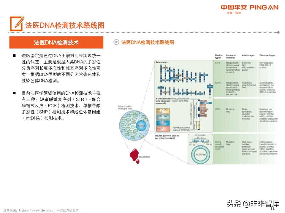 法医DNA检测行业全景图